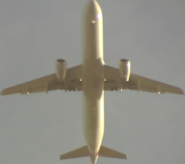 Airplane Picture