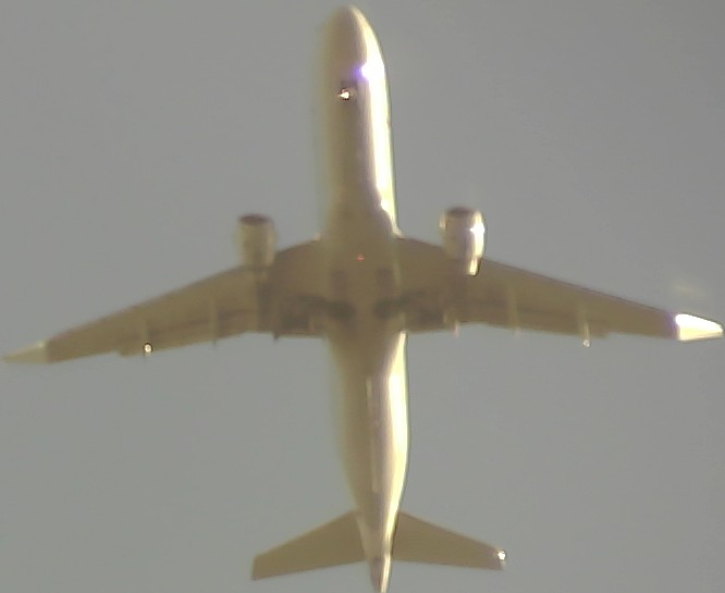 Airplane Picture