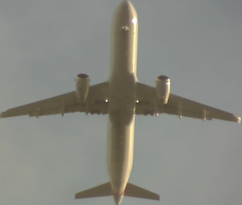 Airplane Picture
