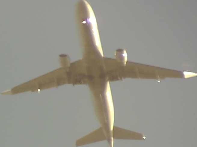 Airplane Picture