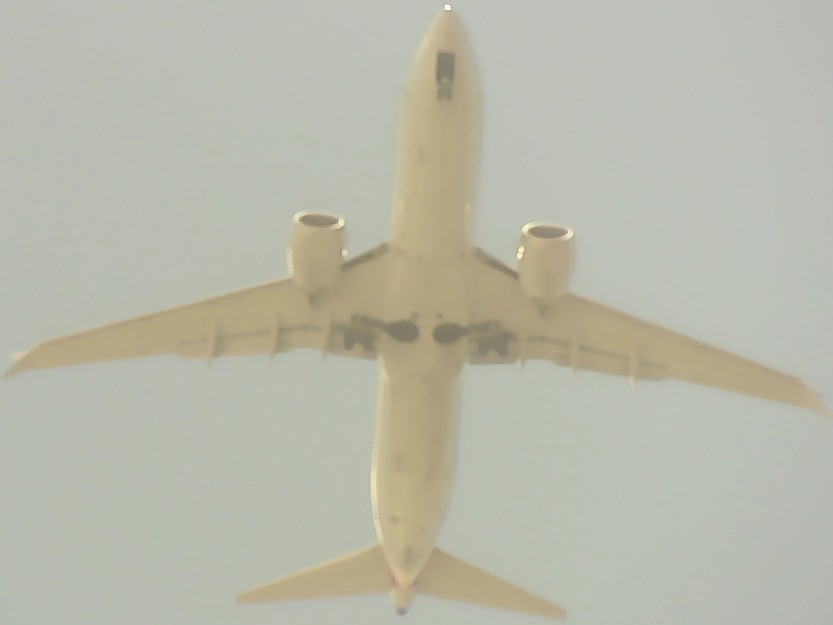 Airplane Picture