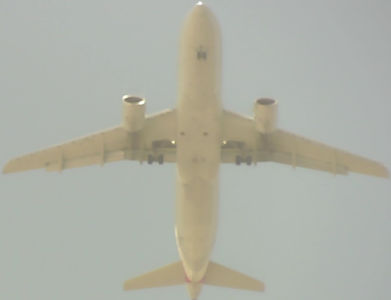 Airplane Picture