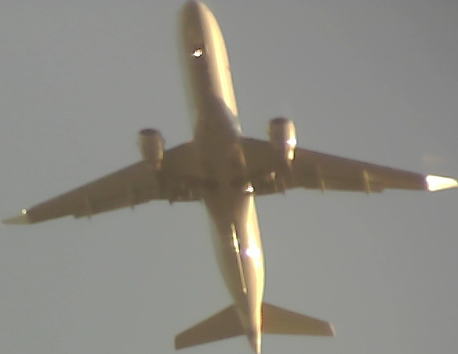 Airplane Picture