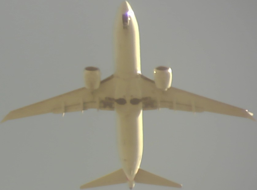 Airplane Picture