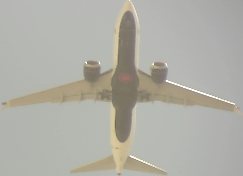 Airplane Picture