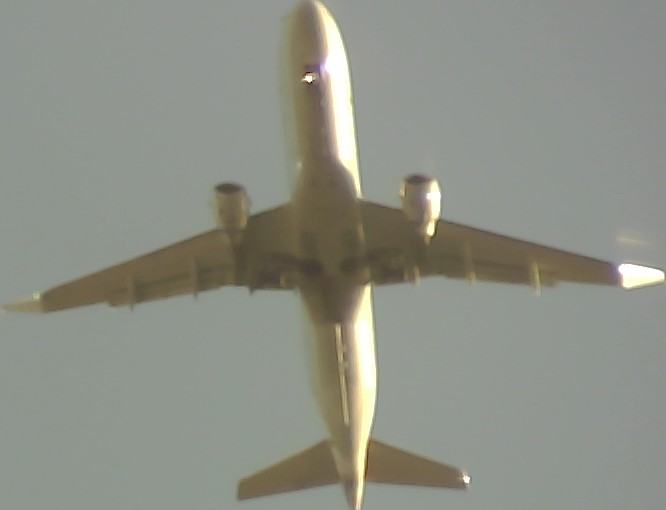 Airplane Picture