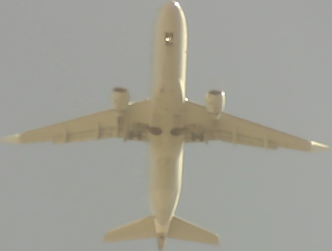 Airplane Picture
