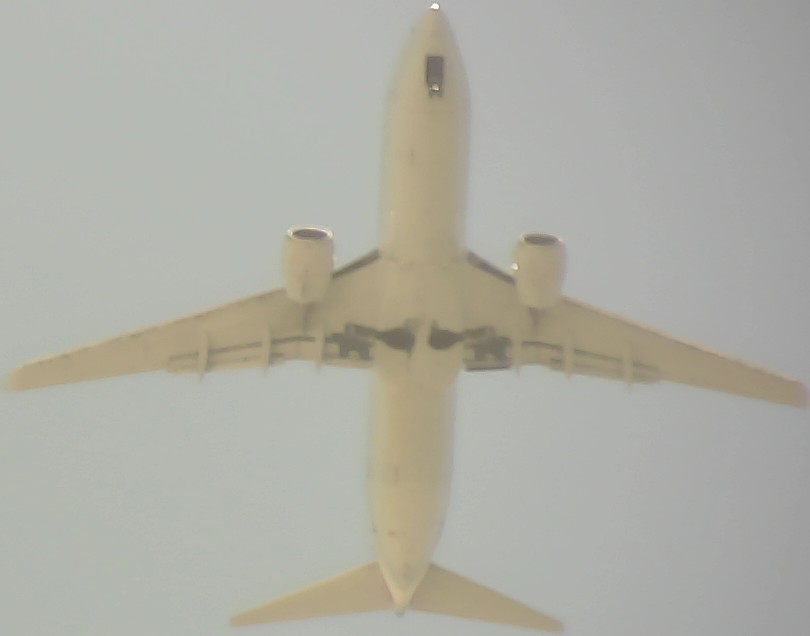 Airplane Picture