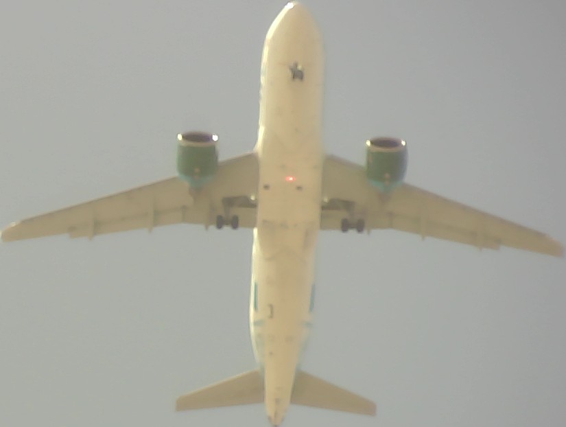 Airplane Picture