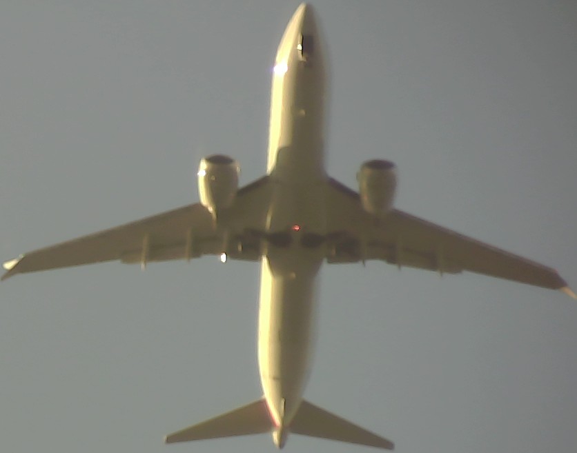 Airplane Picture