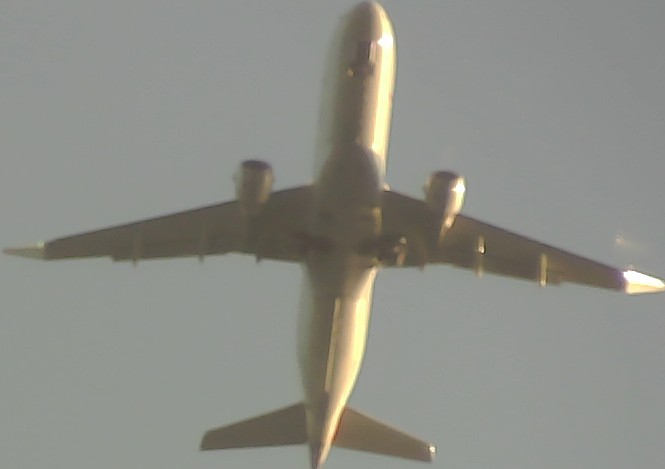 Airplane Picture