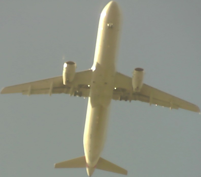 Airplane Picture