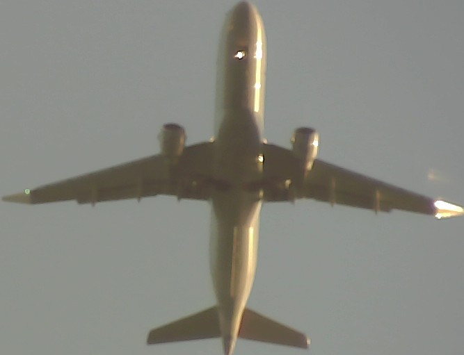Airplane Picture