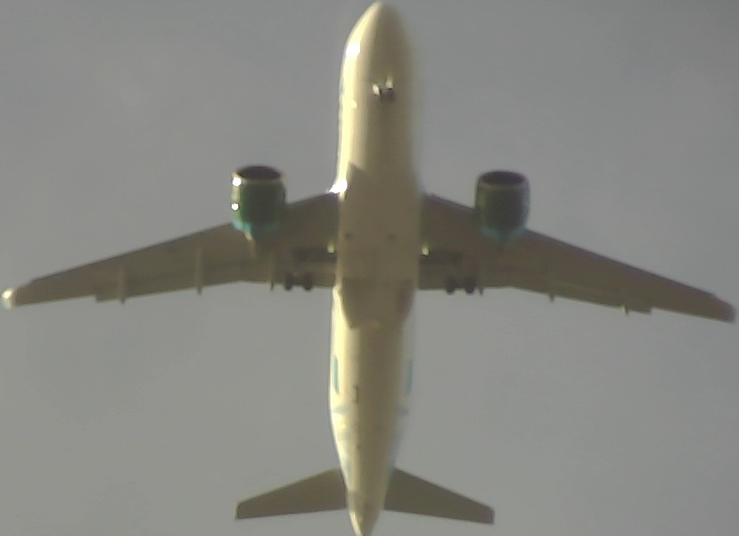Airplane Picture