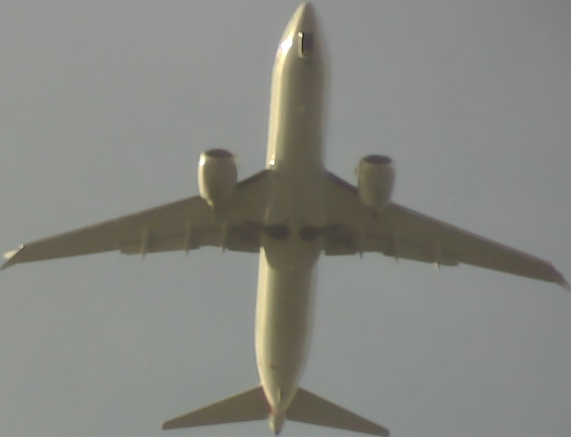 Airplane Picture