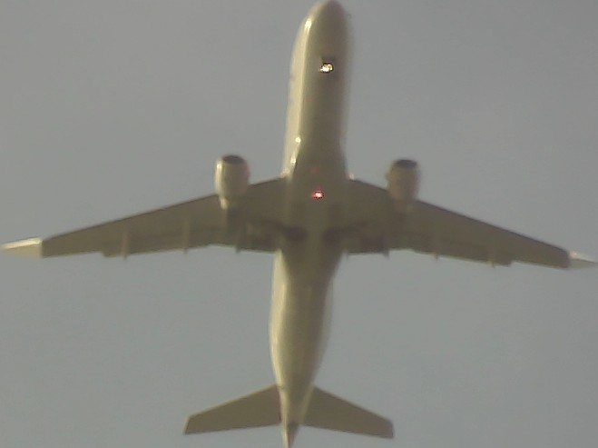 Airplane Picture