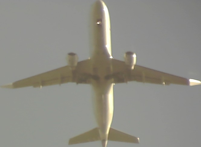 Airplane Picture