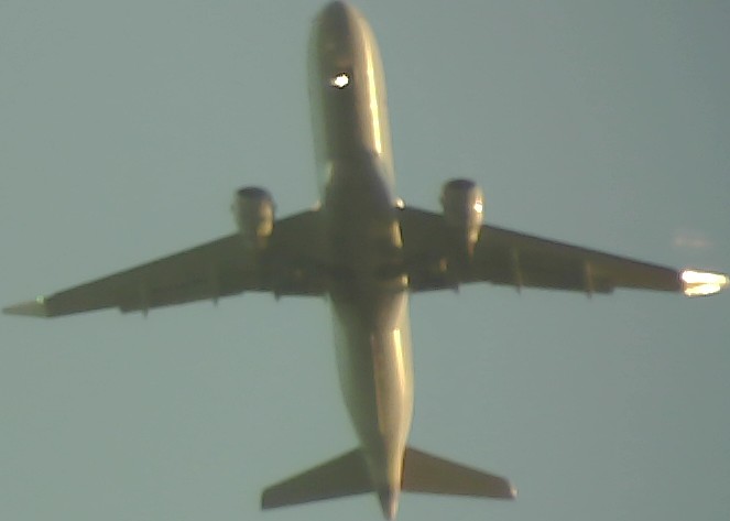 Airplane Picture