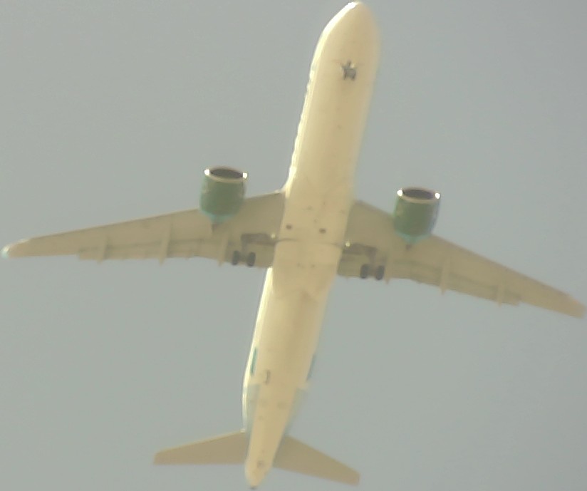 Airplane Picture