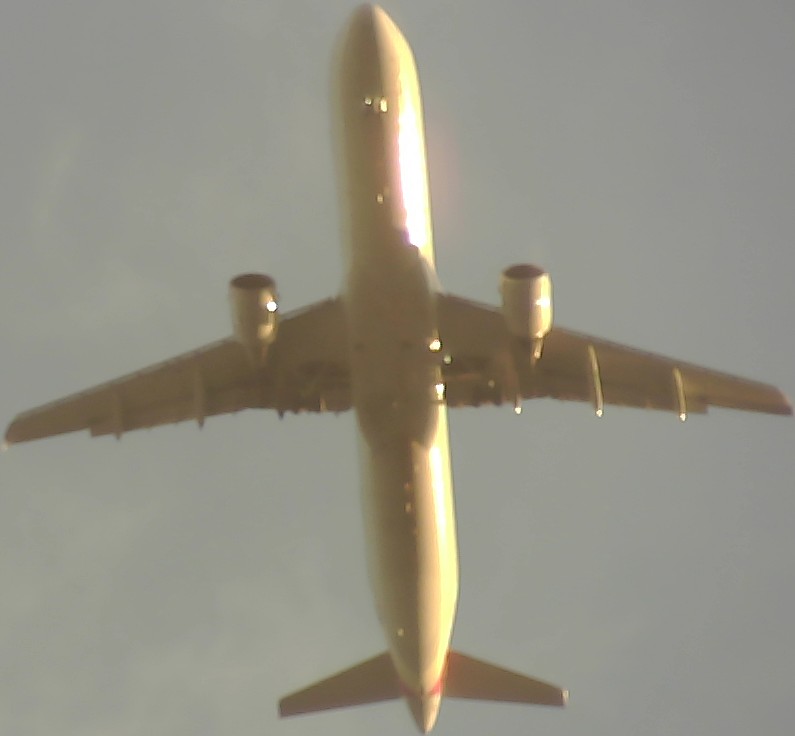 Airplane Picture