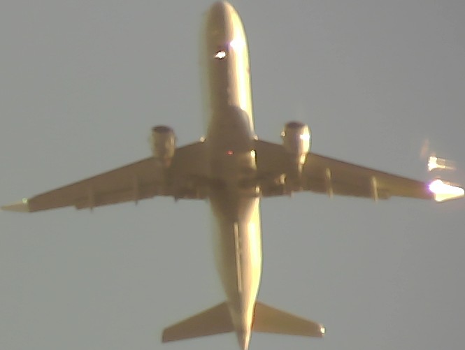 Airplane Picture