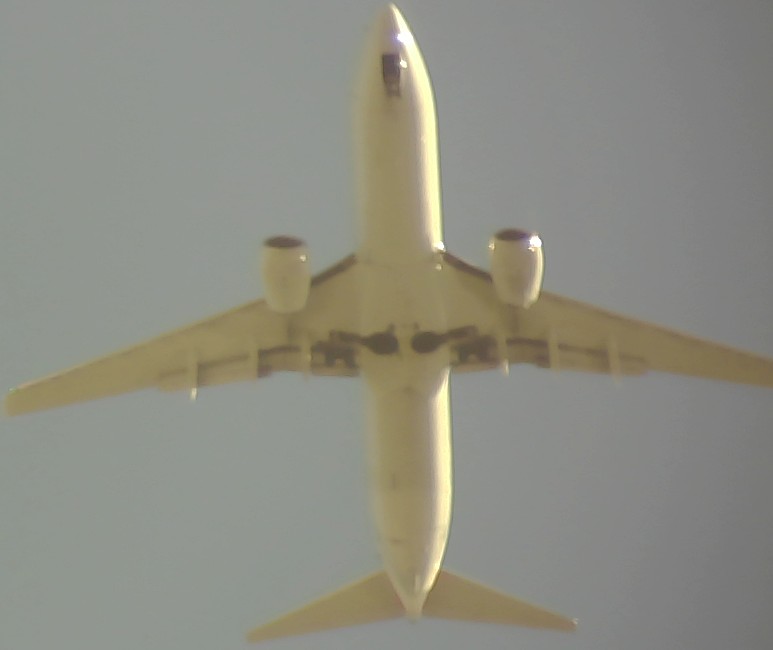 Airplane Picture