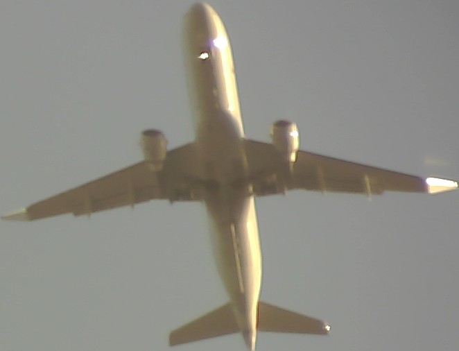 Airplane Picture