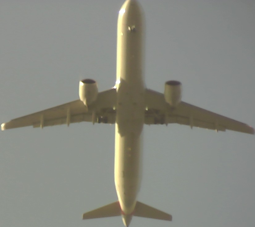 Airplane Picture