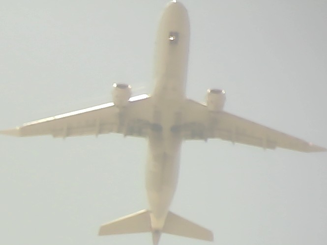 Airplane Picture