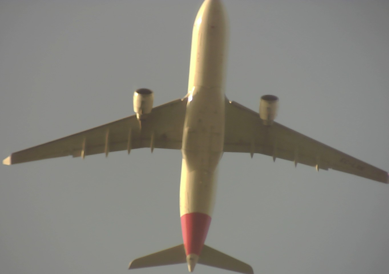 Airplane Picture