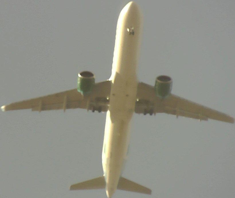 Airplane Picture
