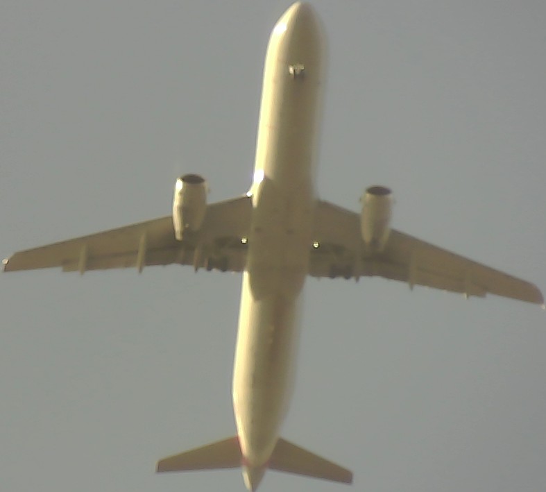 Airplane Picture