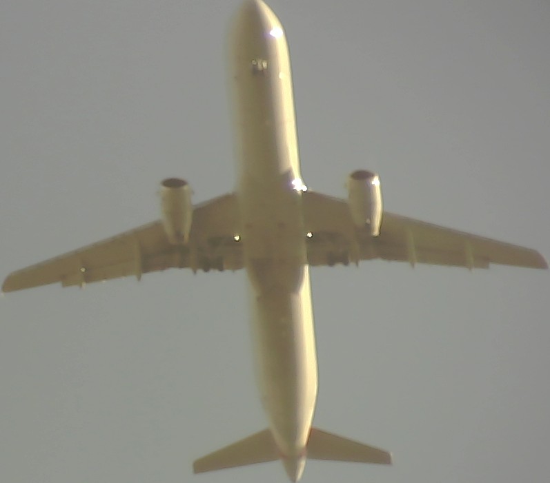 Airplane Picture