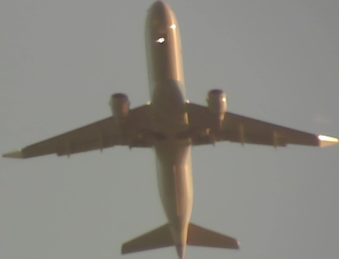 Airplane Picture
