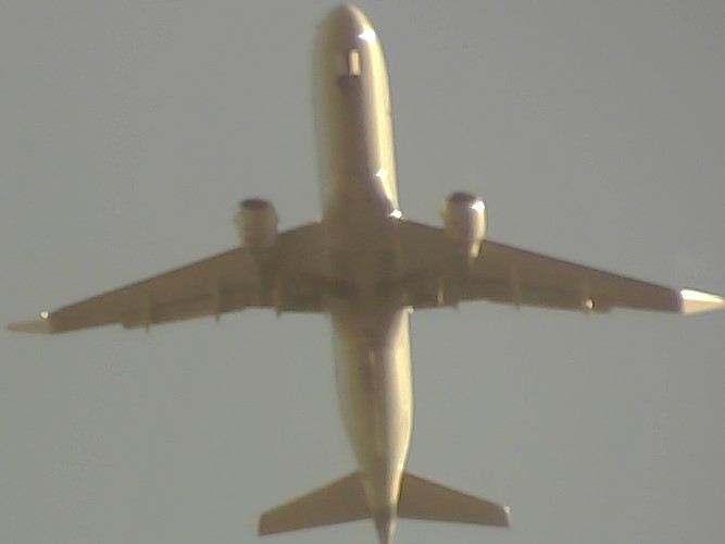 Airplane Picture