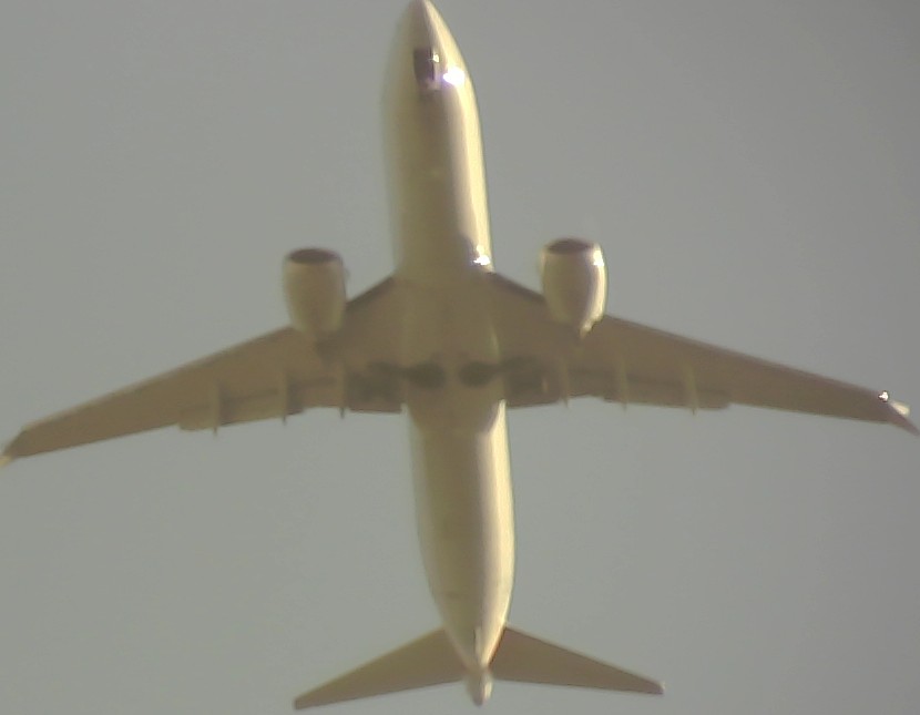 Airplane Picture