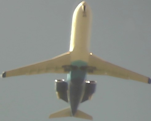 Airplane Picture