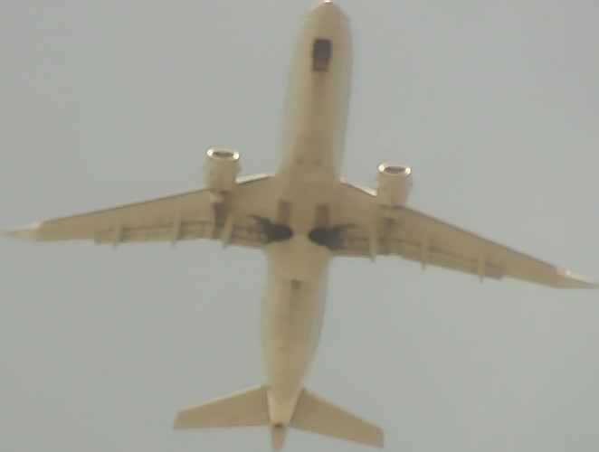 Airplane Picture