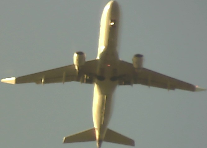 Airplane Picture