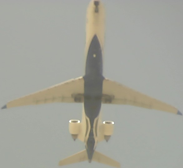 Airplane Picture