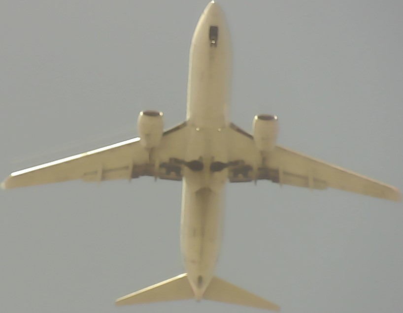 Airplane Picture
