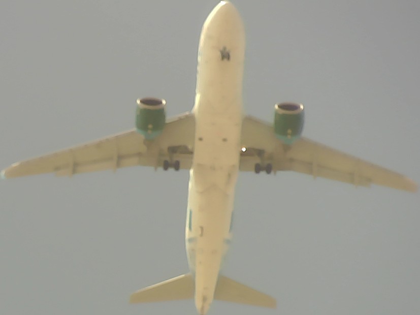 Airplane Picture