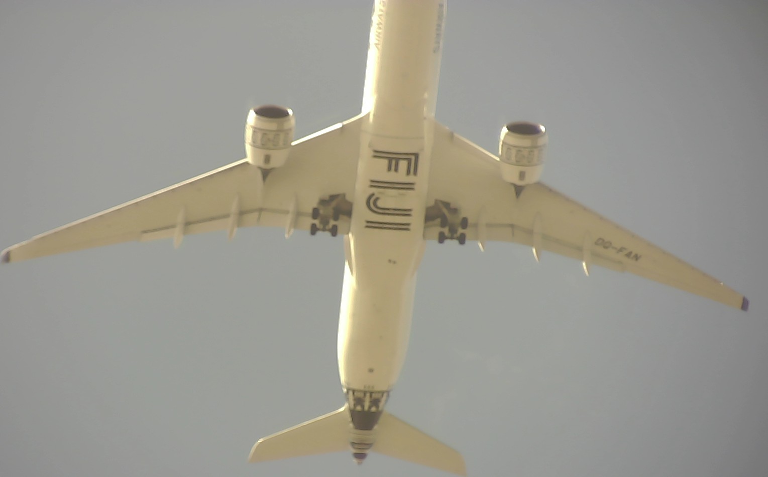 Airplane Picture