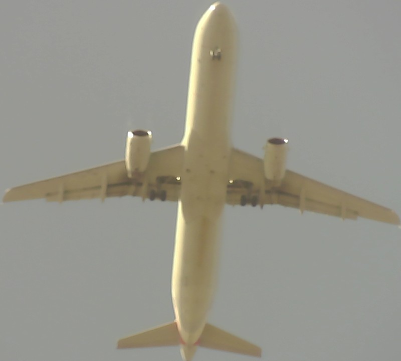 Airplane Picture