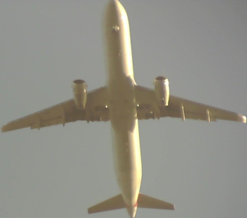 Airplane Picture