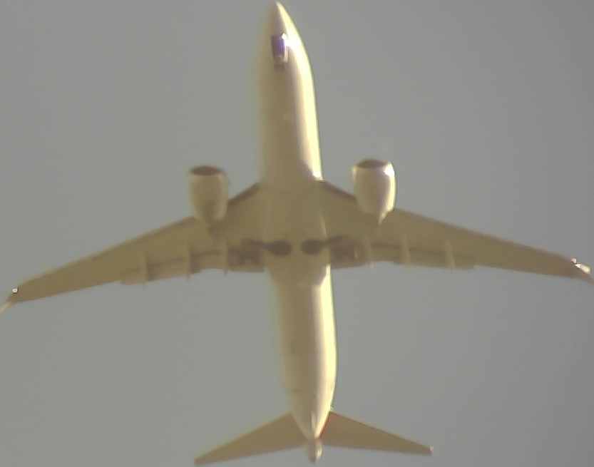 Airplane Picture