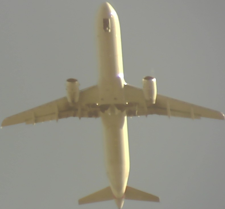 Airplane Picture