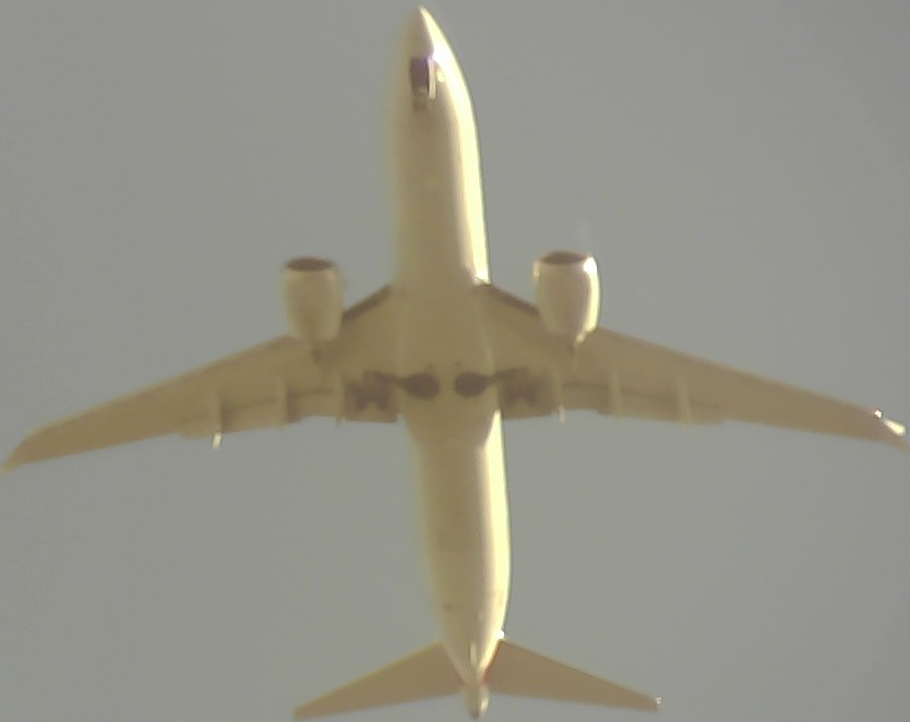 Airplane Picture