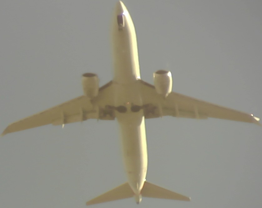 Airplane Picture