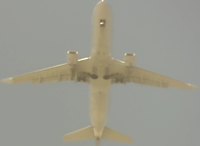 Airplane Picture